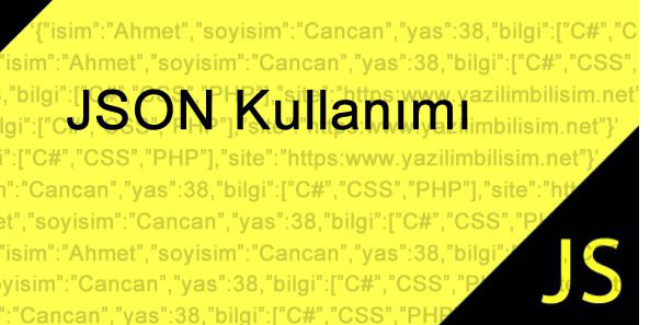 JavaScript JSON Usage